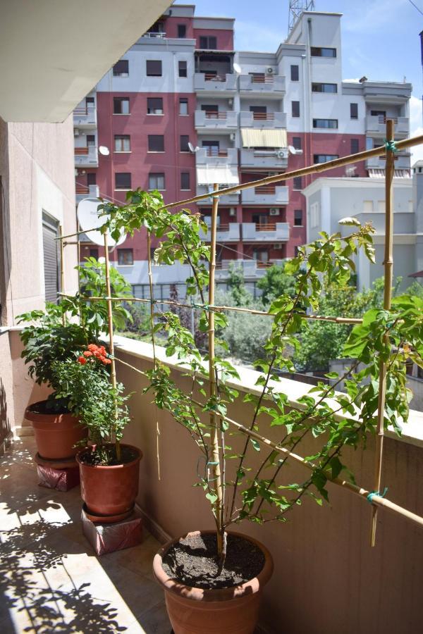 New Apartment Zoe Shkoder Bagian luar foto